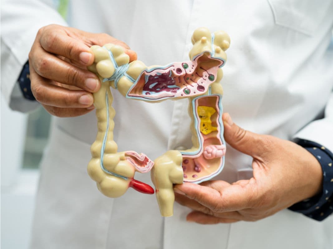 gut health